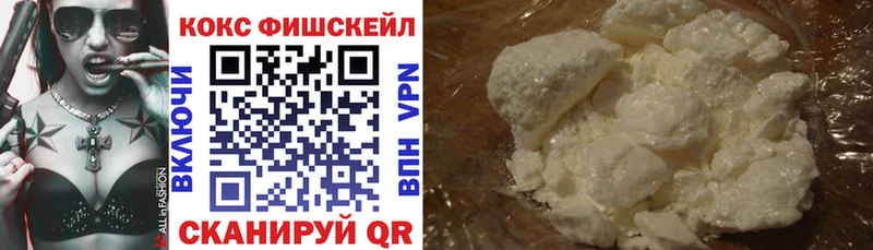 COCAIN Fish Scale  Купить закладки  Североморск 