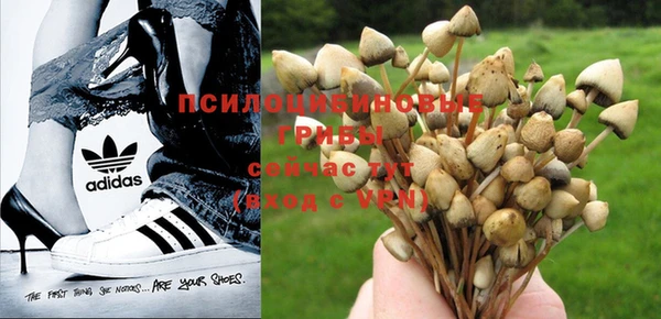 jwh Зерноград