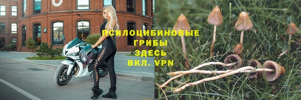 мяу мяу мука Зеленокумск
