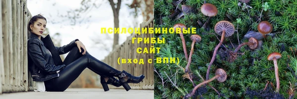 MDMA Premium VHQ Зеленодольск