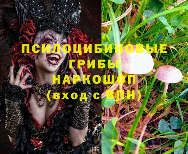 мяу мяу мука Зеленокумск