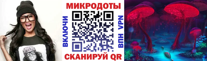 Купить где  Североморск  Галлюциногенные грибы прущие грибы 